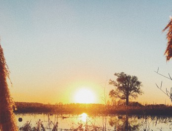 Processed with VSCO with f2 preset